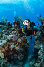 Load image into Gallery viewer, Aqua Lung Helix Compact Pro Stage3 1st, 2nd, Octo Regulator Set - REG416 DIN SET