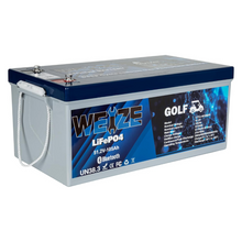 Load image into Gallery viewer, WEIZE 48V 105Ah LiFePO4 Battery w/ Bluetooth &amp; BMS - BAC-0126VWEI
