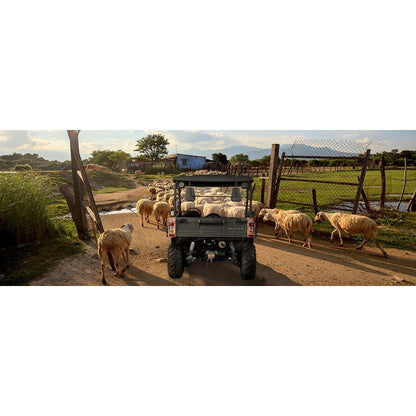 2024 BMS Motor Ranch Pony 600 EFI 2 Seater Side By Side Utility Terrain Vehicle UTV