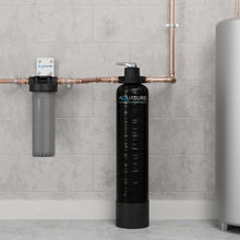 Load image into Gallery viewer, Aquasure Fortitude Lite Series | 800,000 Gallons Whole House Water Filter Treatment System - AS-FP-LITE
