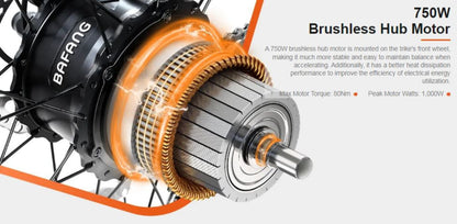 Addmotor 750W Grandtan City 3 Wheel Fat Tire Electric Bike - EB-ADD-GTAN-NEP