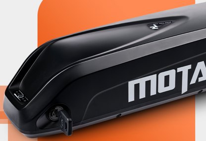 AddMotor 750W MOTAN M-360 Semi-Recumbent Trike Beach Electric Bike - EB-MOTAN-M-360-GRN