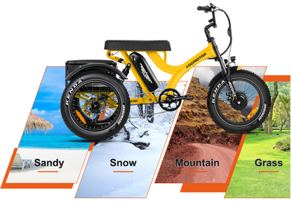 Addmotor 750W Herotri M-365X Banana Seat Electric Trike - EB-ADD-M365X-ORG