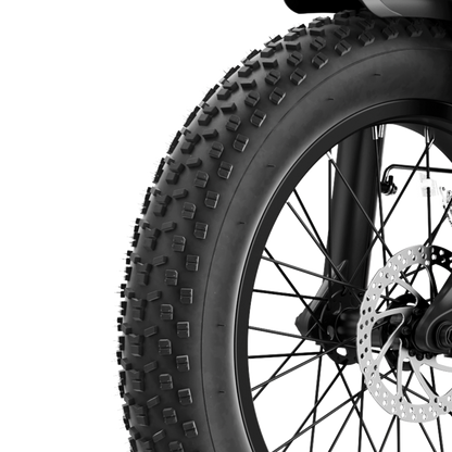 Aipas Jaguar-X Ebike - Jaguar-X-BK