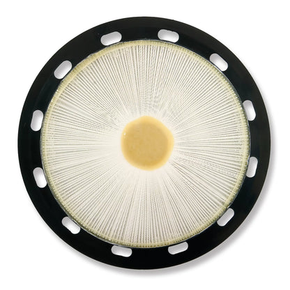 Advance Euroclean GD930, 3 Gallon, 17.5lbs, 35' cord, With Tools, HEPA - 9055314010